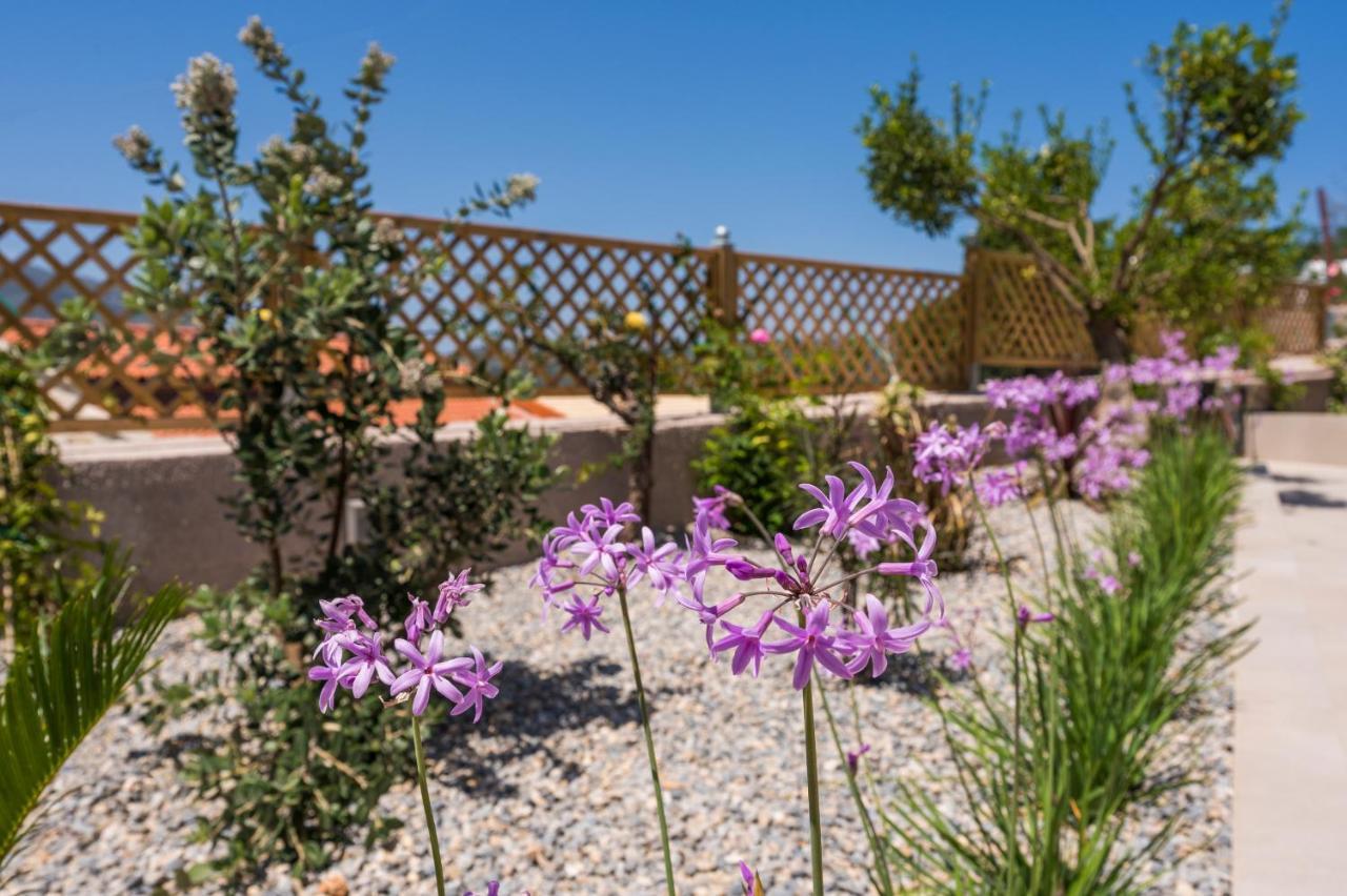 Villa Eva Provarma ภายนอก รูปภาพ